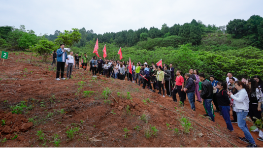 省庄闲游戏集团开展龙泉山城市森林公园 “包山头”植树活动